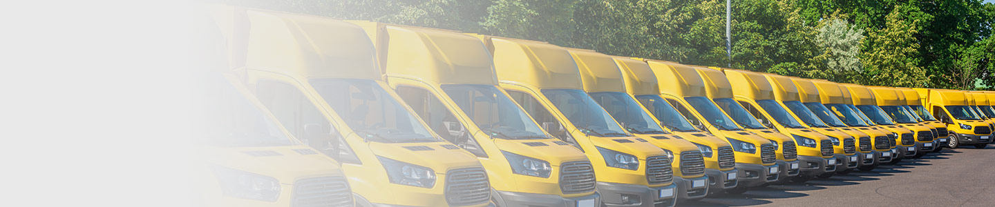 electric vehicle business fleet