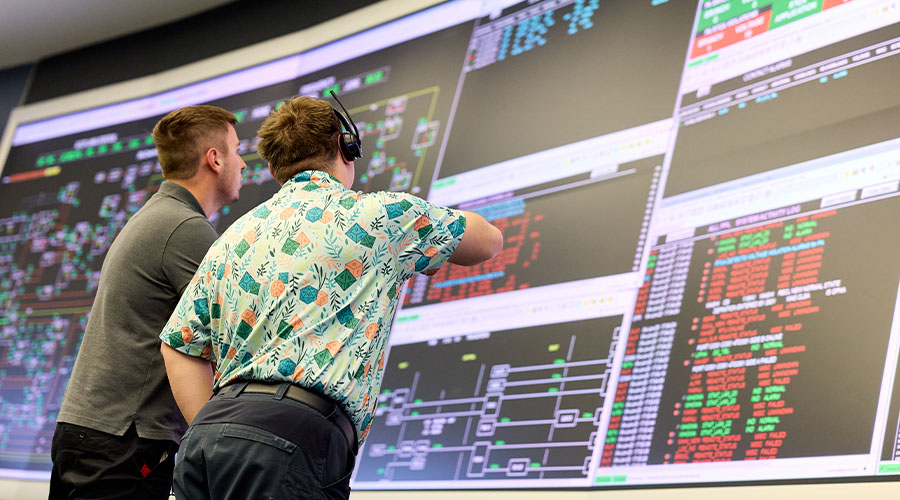 reviewing power grid